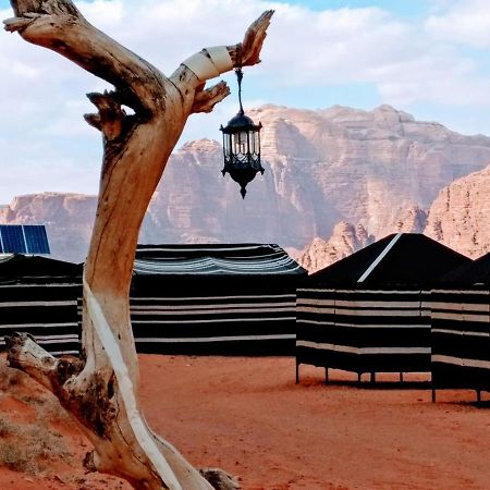 Desert Tree Camp&Tours Вади Рум Екстериор снимка