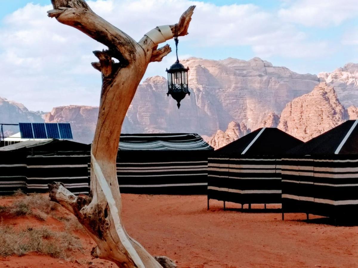 Desert Tree Camp&Tours Вади Рум Екстериор снимка